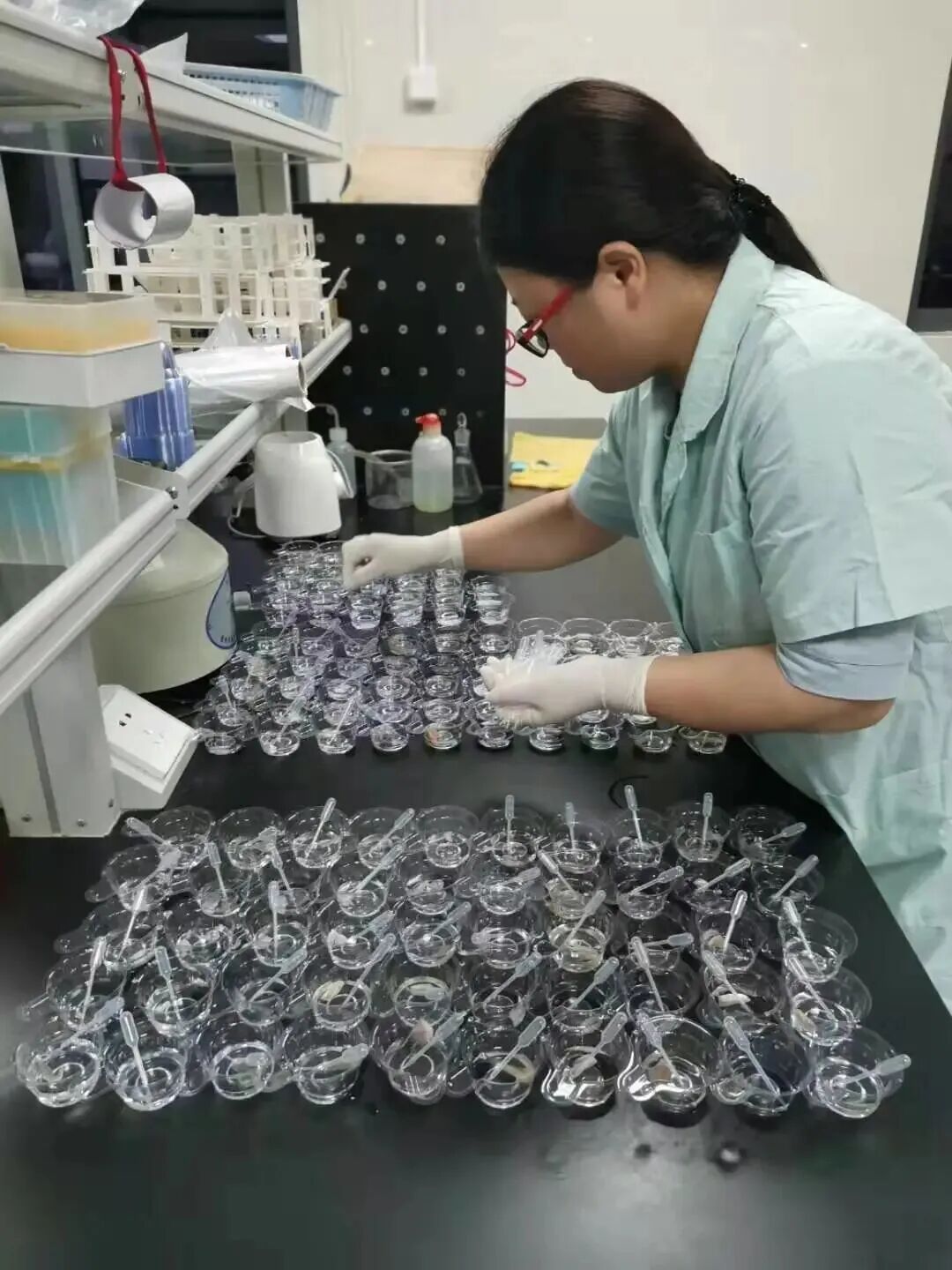 厦门食品安全可追溯系统_农产品溯源平台_厦门市食品安全追溯体系