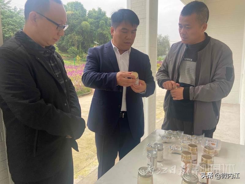 内江市农产品质量安全_内江市绿色农产品基地建设_绿色农产品种植