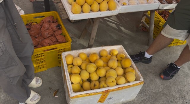 农民朋友不可不知的99个农产品网络销售秘诀_生鲜农产品出村最先一公里_黄桃出村物流解决方案