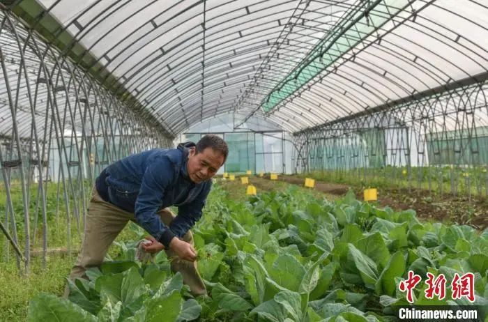农产品二维码_浙江农业数字化_浙江农业生态化