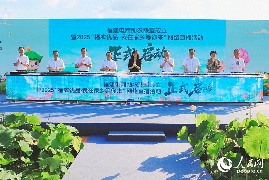 立秋后福建建宁莲蓬饱满 电商助农联盟活动在建宁启动