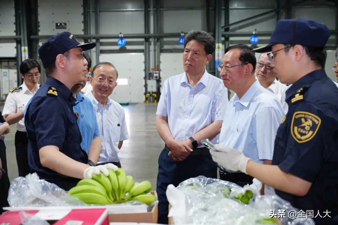 上海农产品溯源系统_全国人大常委会食品安全法执法检查_上海市食品安全信息追溯体系