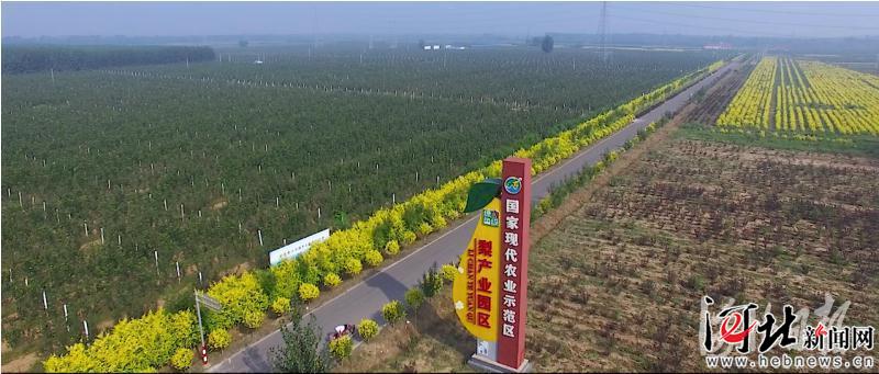 河北省特色农产品优势区_河北省农业优势特色产业行动方案_如何发展特色农产品