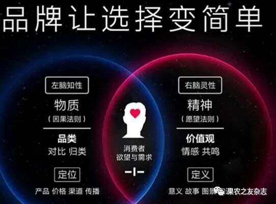 农产品 网络营销策略_农产品电商B2B与B2C模式_农产品电商平台IP化运营