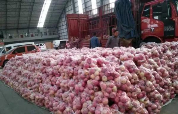 农产品地理标志查询_山西老陈醋地理标志_吉县苹果地理标志