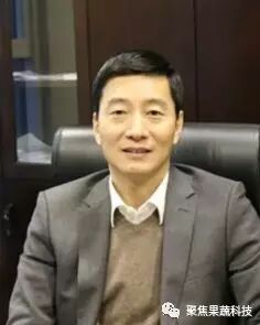 农产品电子商务计划书_生鲜农产品流通与信息化_生鲜农产品冷链现状与发展趋势
