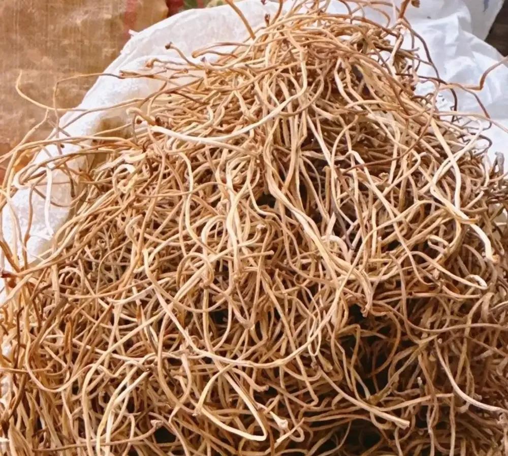 全国农产品成本收益资料汇编_红薯叶市场价格行情_红薯叶种植利润