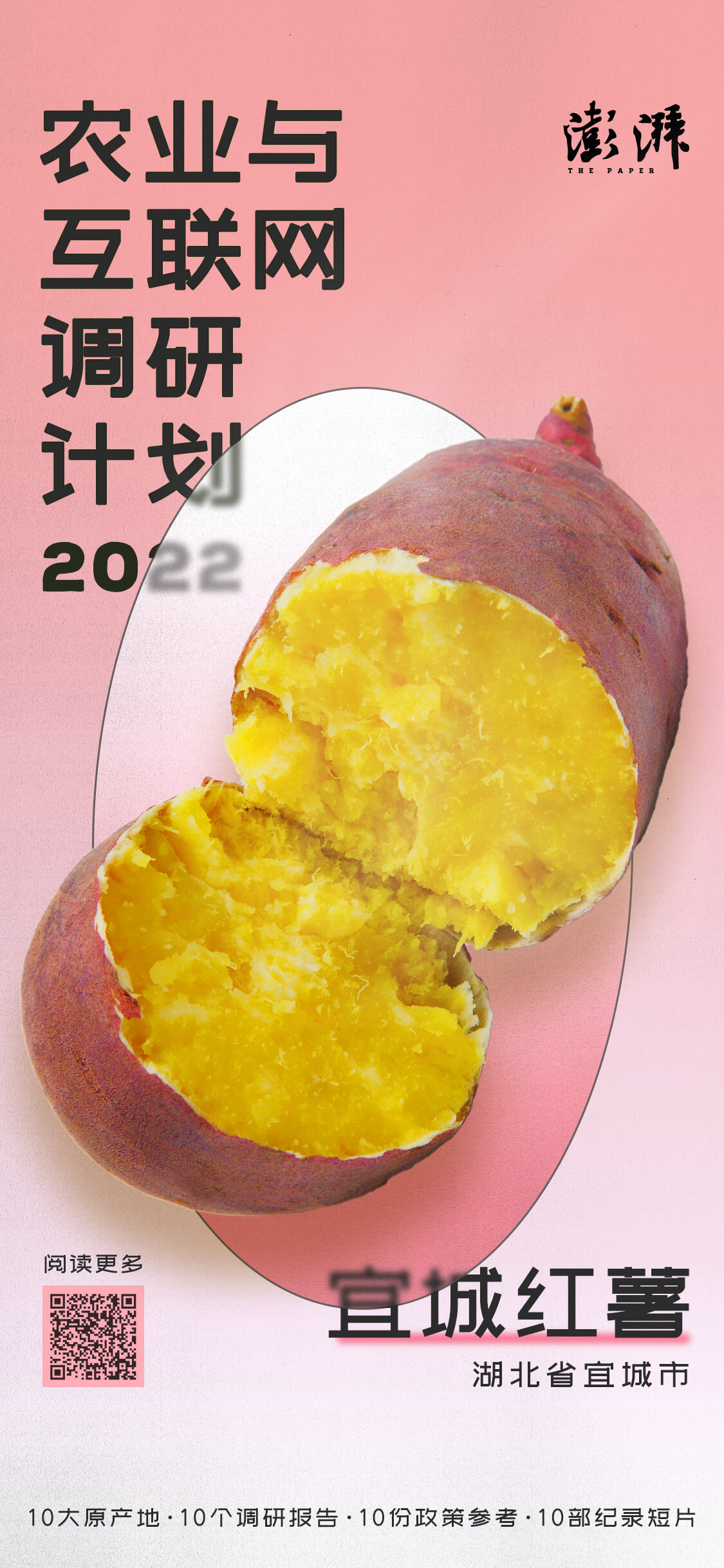宜城红薯产业发展_广东农产品红薯交易网_电商助力乡村振兴共同富裕
