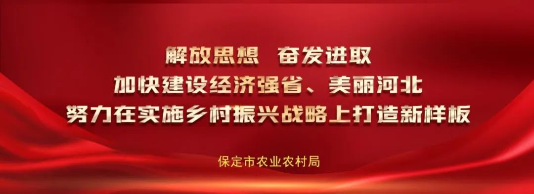 保定预制菜产业发展_保定直隶田园农产品展销_广东田园农产品集团有限公司