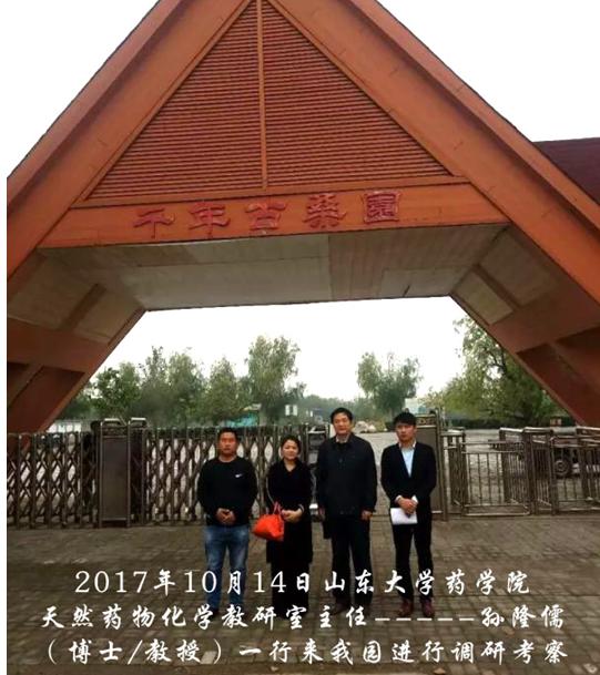 农产品 开发 公司_古桑产品健康理念_古桑文化旅游产业