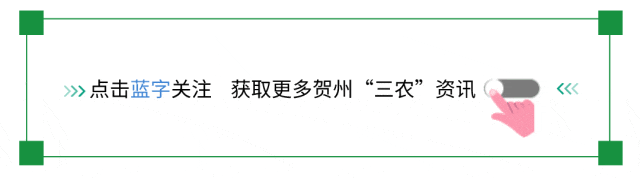 贺州市农业农村局积极开展2025年食品安全宣传周活动，你知道吗？