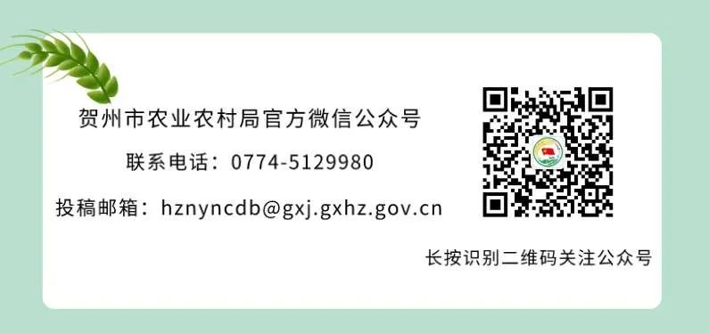 农产品质量安全宣传周_农产品海报_食品安全法律法规科普
