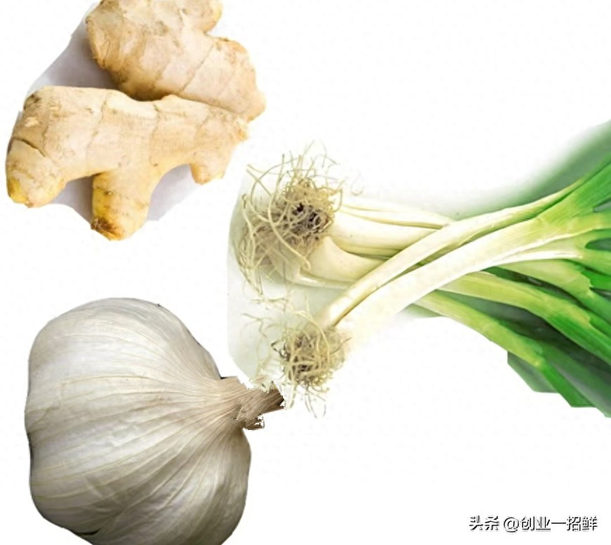 找项目赚钱必看！农产品深加工项目——葱、姜、蒜高值化利用技术揭秘？