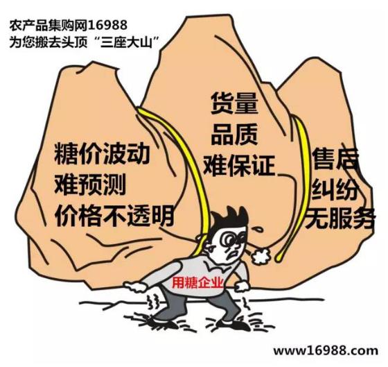农产品集购网 孙彤_农产品电商平台 电商金融 合作授信