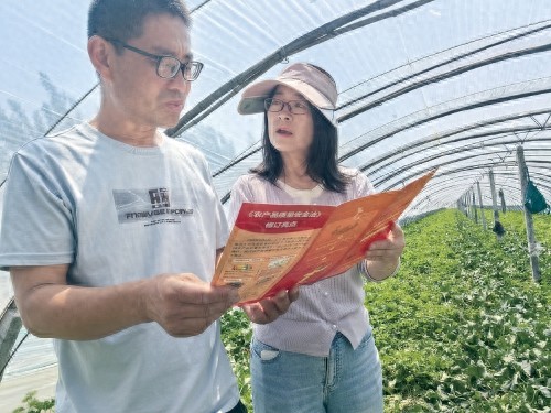 青岛农产品质量安全风险预警_农产品质量安全总结_青岛市农产品质量安全法修订