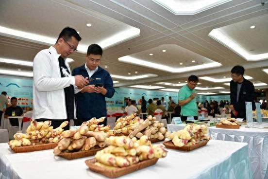 农产品品牌存在的问题_齐鲁农超 区域品牌建设 山东农产品推广