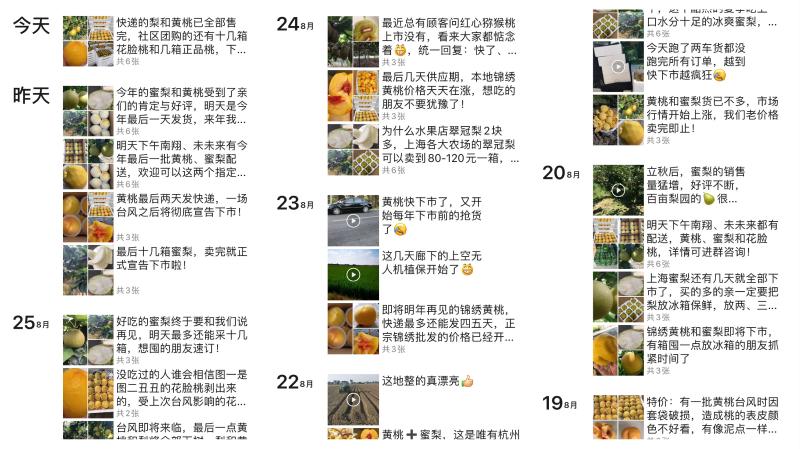 四年等一回蓝莓月饼来袭！上海农民微商卖啥？正宗翠冠梨等你尝鲜