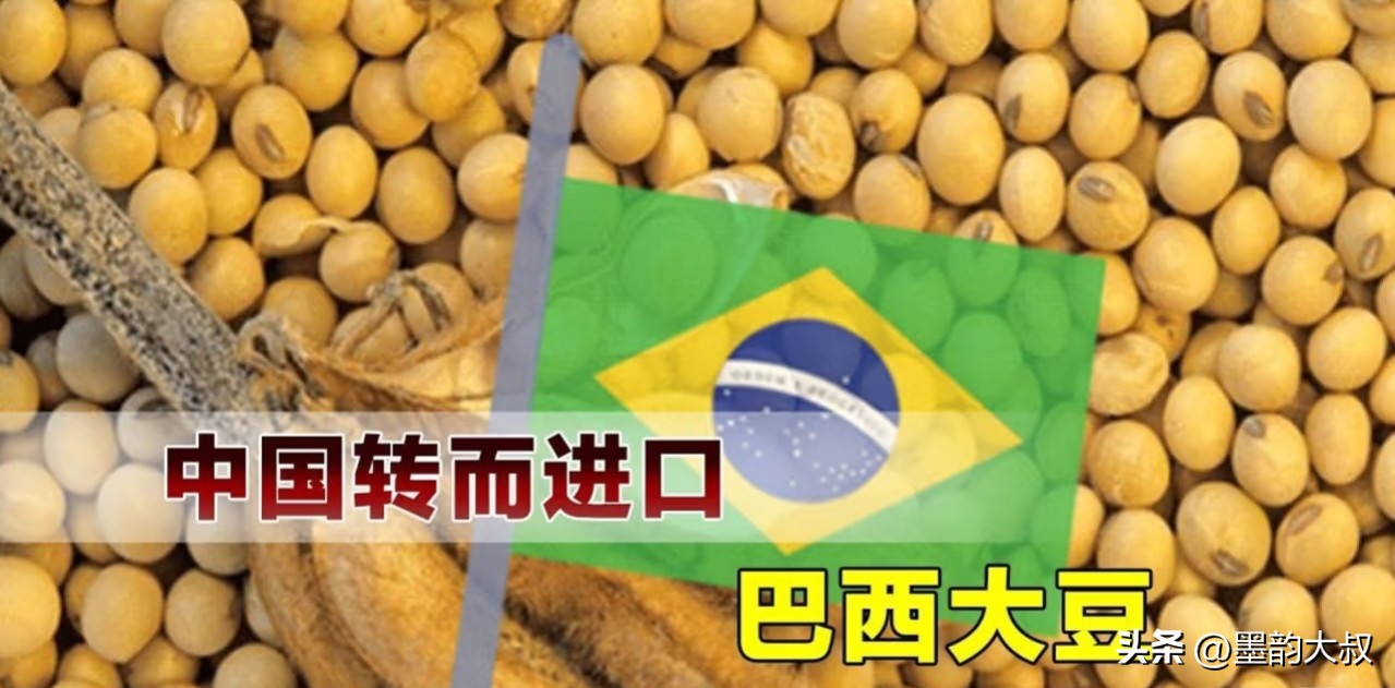 中美农产品贸易_农产品贸易案例_中国进口巴西高粱