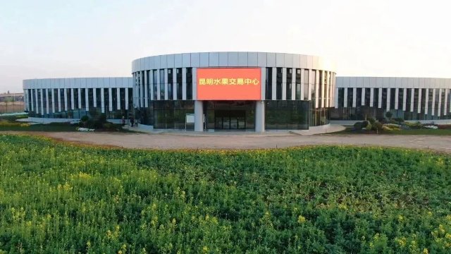 昆明水果交易中心挂牌启用，绿色食品贸易版图再扩