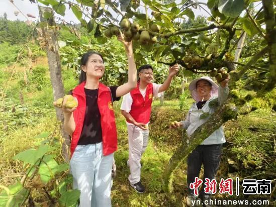 前进村驻村工作队电商帮扶_昆明农产品销售渠道_前进村农产品电商销售