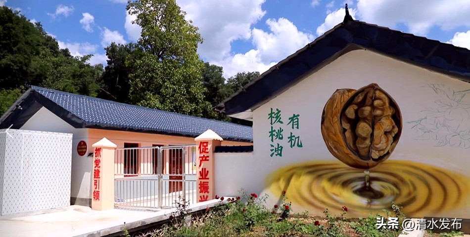 清水县核桃全产业链发展_核桃农产品商标_清水县核桃产业提质增效