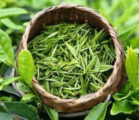 中国茶叶出口主要品种国家_中国农产品贸易的现状_中国茶叶种植面积产量排名