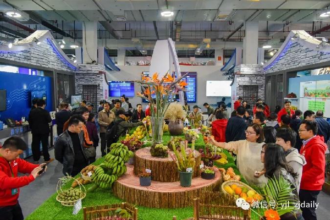 浙江数字乡村建设再推进！4市11区72家主体成试点示范
