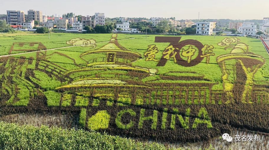 中国农民丰收节茂名活动_茂名农产品_高州庆祝活动