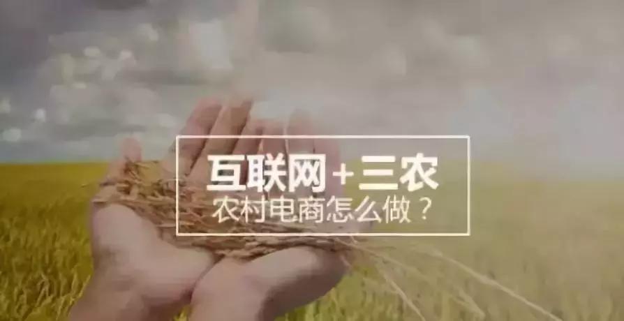 现货农产品交易技巧_数字经济 乡村振兴 电子商务进农村