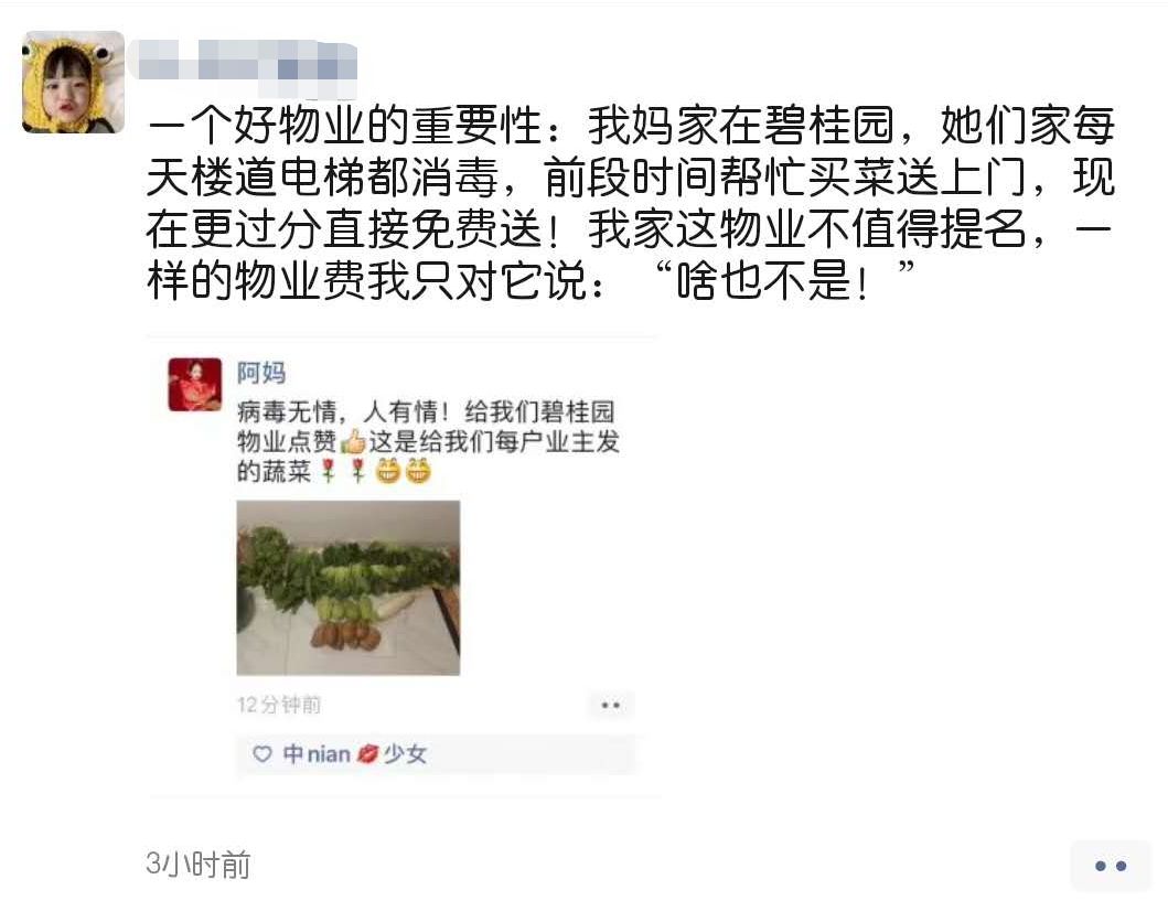 海南农产品滞销_碧桂园海南区域购销海口市贫困户农产品发车仪式_海口市政府副秘书长李革下令发车