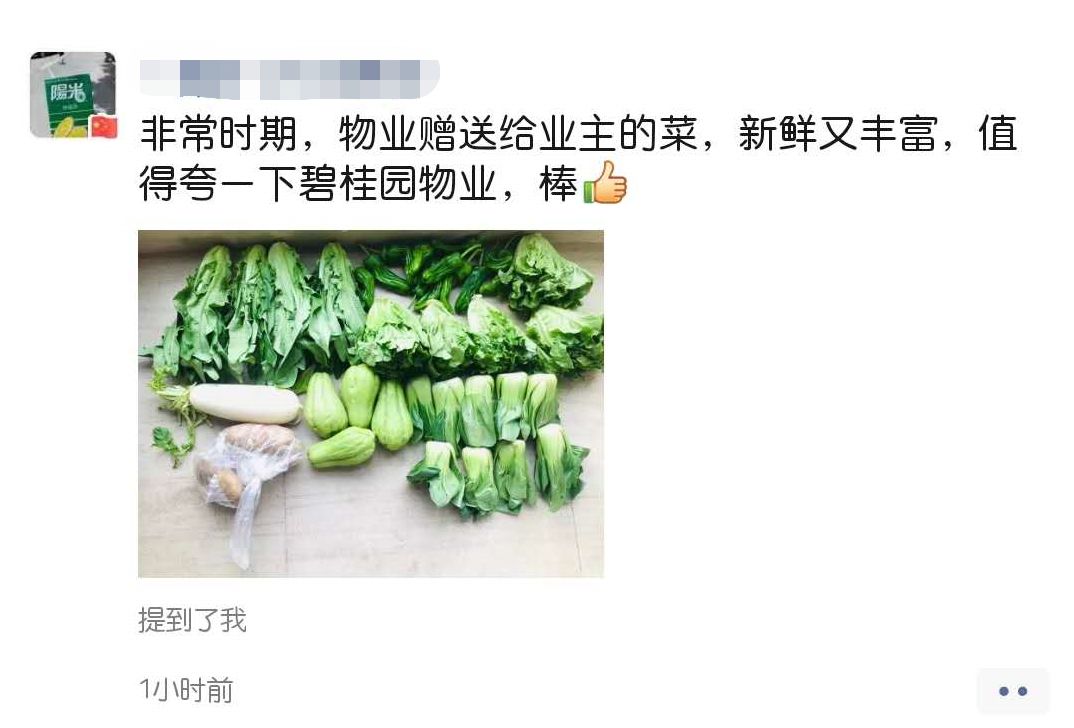 海口市政府副秘书长李革下令发车_碧桂园海南区域购销海口市贫困户农产品发车仪式_海南农产品滞销