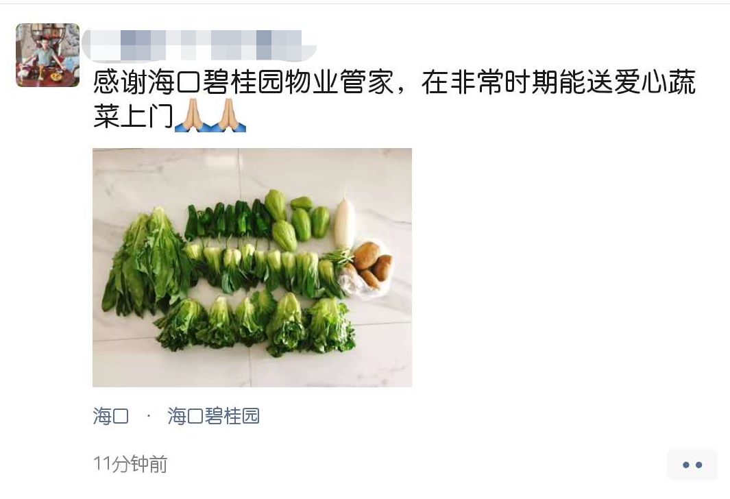 海南农产品滞销_海口市政府副秘书长李革下令发车_碧桂园海南区域购销海口市贫困户农产品发车仪式