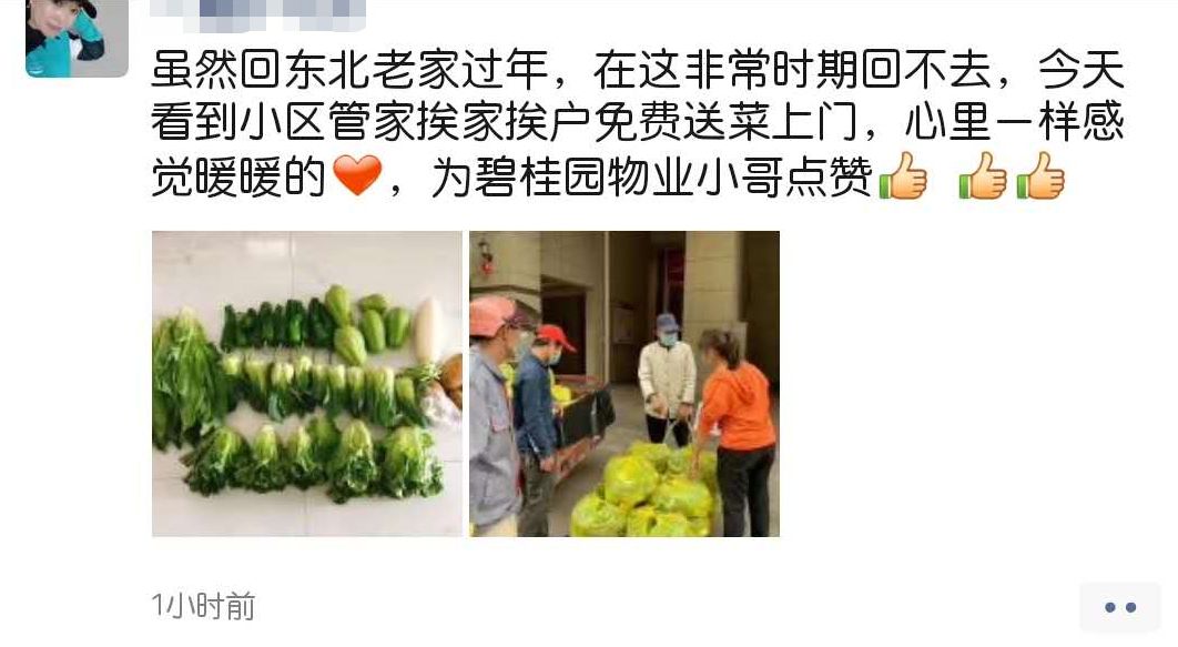 海口市政府副秘书长李革下令发车_海南农产品滞销_碧桂园海南区域购销海口市贫困户农产品发车仪式
