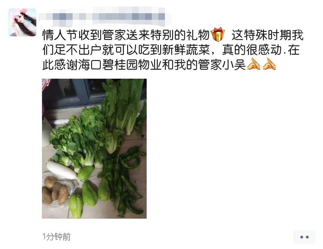 海南农产品滞销_海口市政府副秘书长李革下令发车_碧桂园海南区域购销海口市贫困户农产品发车仪式