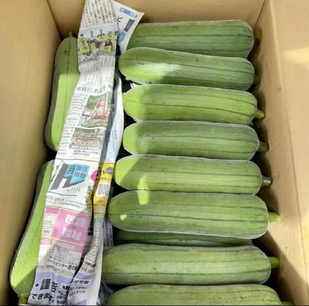 江苏农产品经纪人_一亩田农产品销售_农产品经纪人赚钱吗