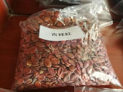 新疆戈壁滩河南农民种植瓜子_瓜子属于农产品吗?_良品铺子颗颗香瓜子溢价背后