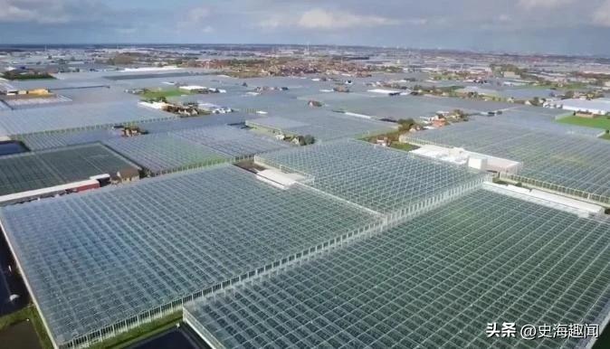 世界农业发达国家借鉴_农民共同富裕问题_十大高附加值的农产品