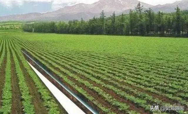 农民共同富裕问题_世界农业发达国家借鉴_十大高附加值的农产品