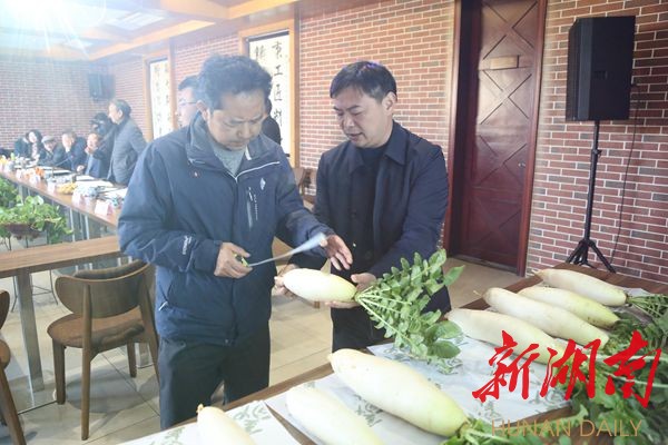 金甲岭萝卜品质鉴评土壤气候_金甲岭萝卜农产品地理标志核查_农产品地理标志登记