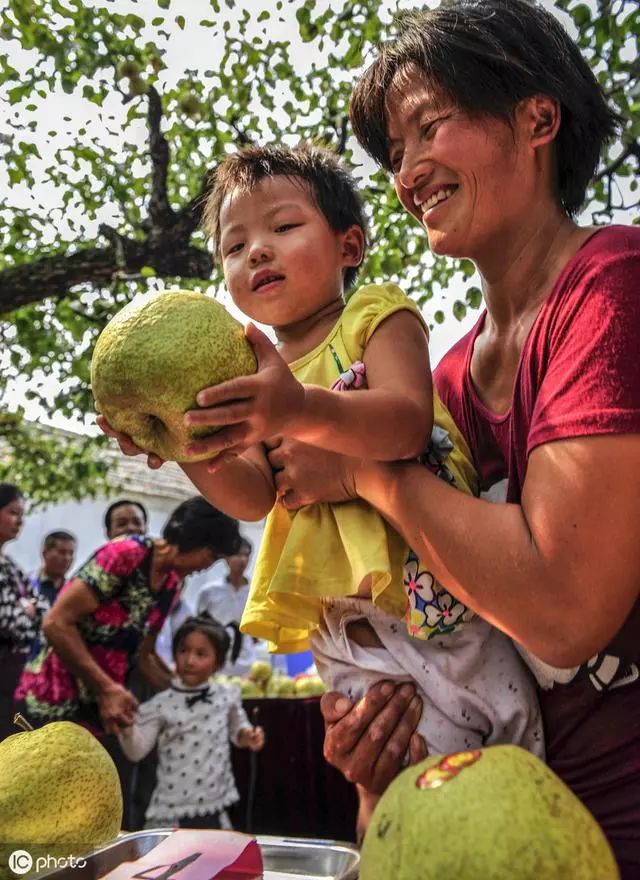 陕西特色农产品_陕西特产送人推荐_陕西特色美食推荐