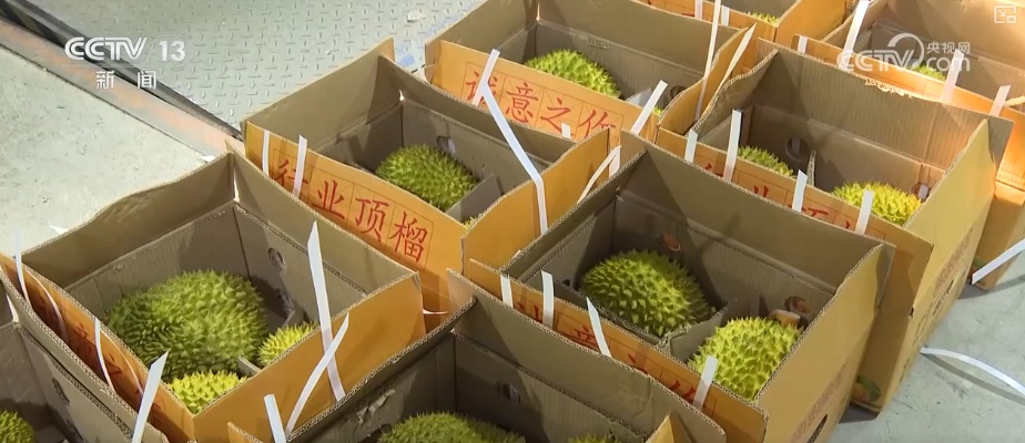 广西农产品贸易app_广西对东盟进出口_友谊关口岸跨境电商