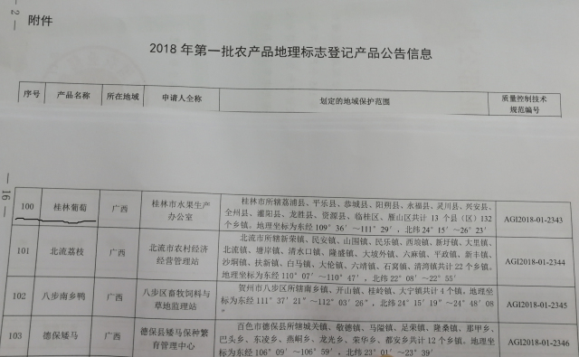 农产品地理标志登记_桂林葡萄农产品地理标志_龙胜红糯地理标志认证