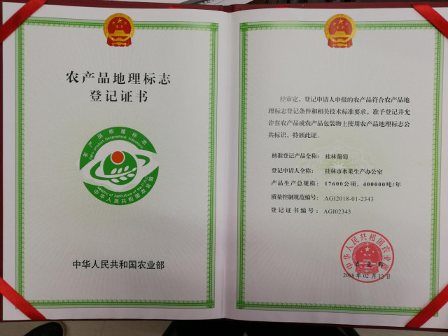 农产品地理标志登记_龙胜红糯地理标志认证_桂林葡萄农产品地理标志