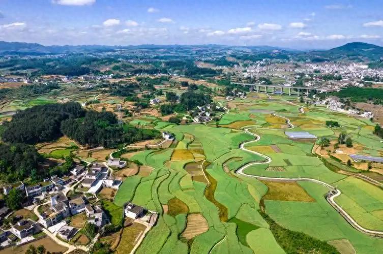 剖析贵州省农业产业链发展现状、问题及优化路径，推动高质量发展