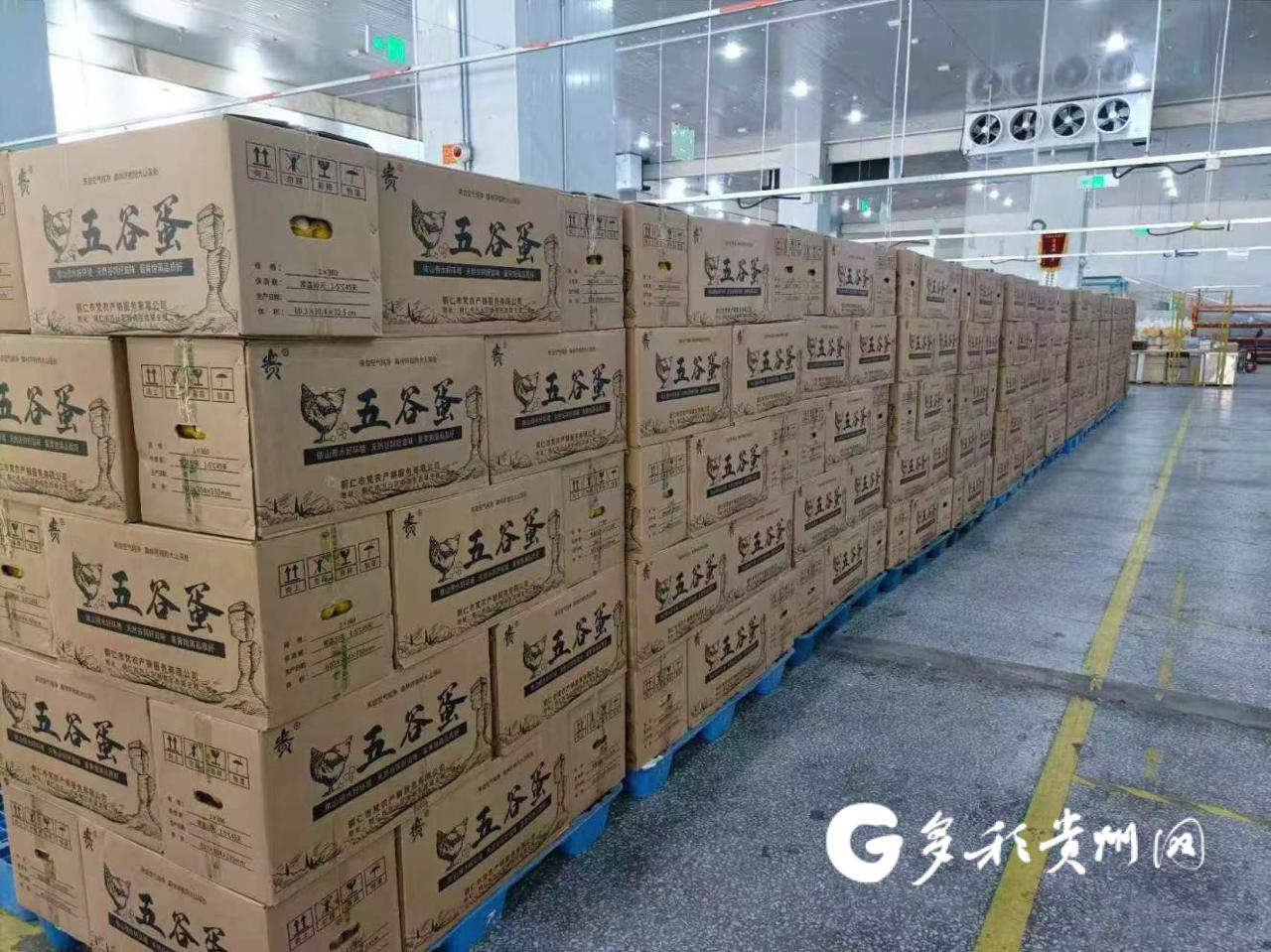 贵州西部农产品投资_贵州生态鸡蛋 钱大妈 粤黔东西部协作