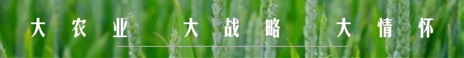 刘强东谈水果产业发展难题：滞销根源与品牌打造之道？