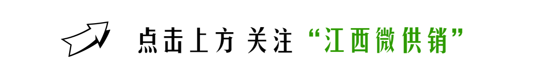 萍乡市长熊运浪调研冷链物流产业发展，强调推进高质量发展