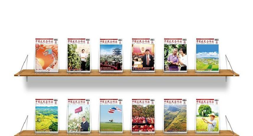 冷链下乡_家庭农场冷链设施_农产品冷链物流发展模式与政府行为概述