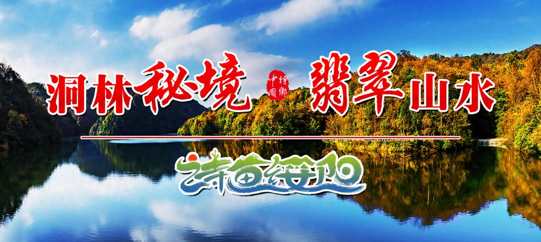 无公害农产品认证标志_假冒绿色食品证明商标_绿色食品认证标志辨别