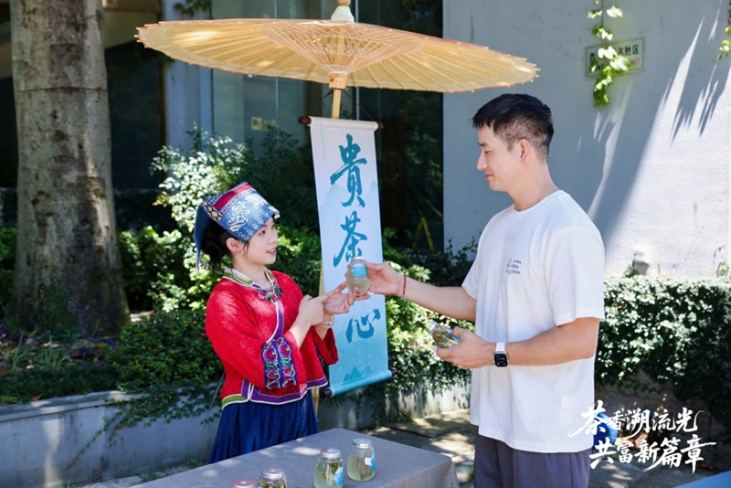 贵州绿色农产品_贵州两红三绿一抹品牌推介会_贵州白叶一号感恩茶发布